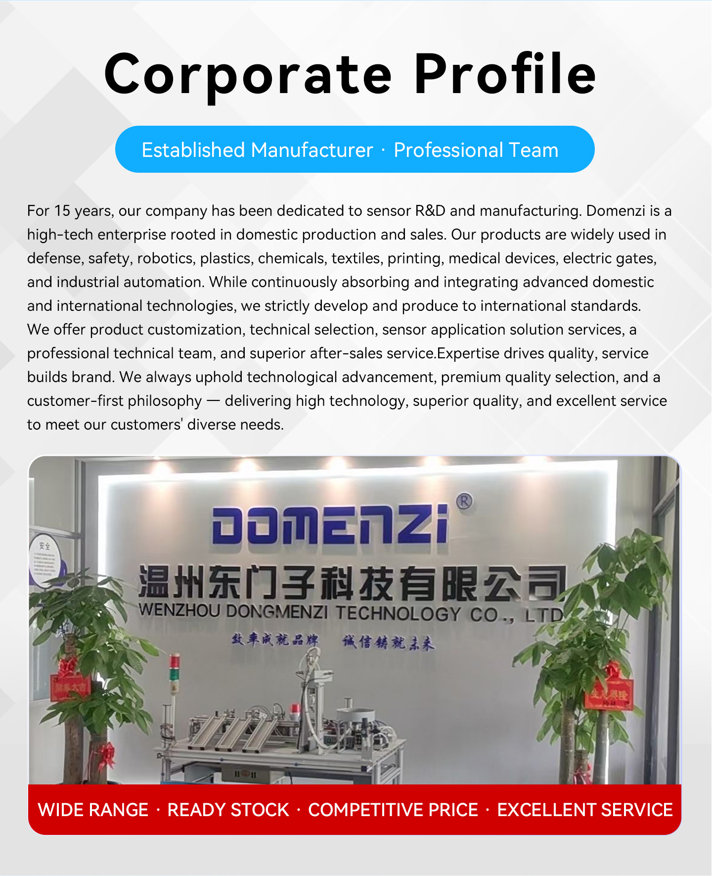 Domenzi corporate profile