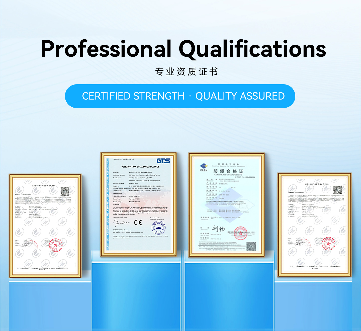 Domenzi professional qualifications
